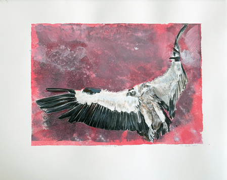 Gänsegeier II